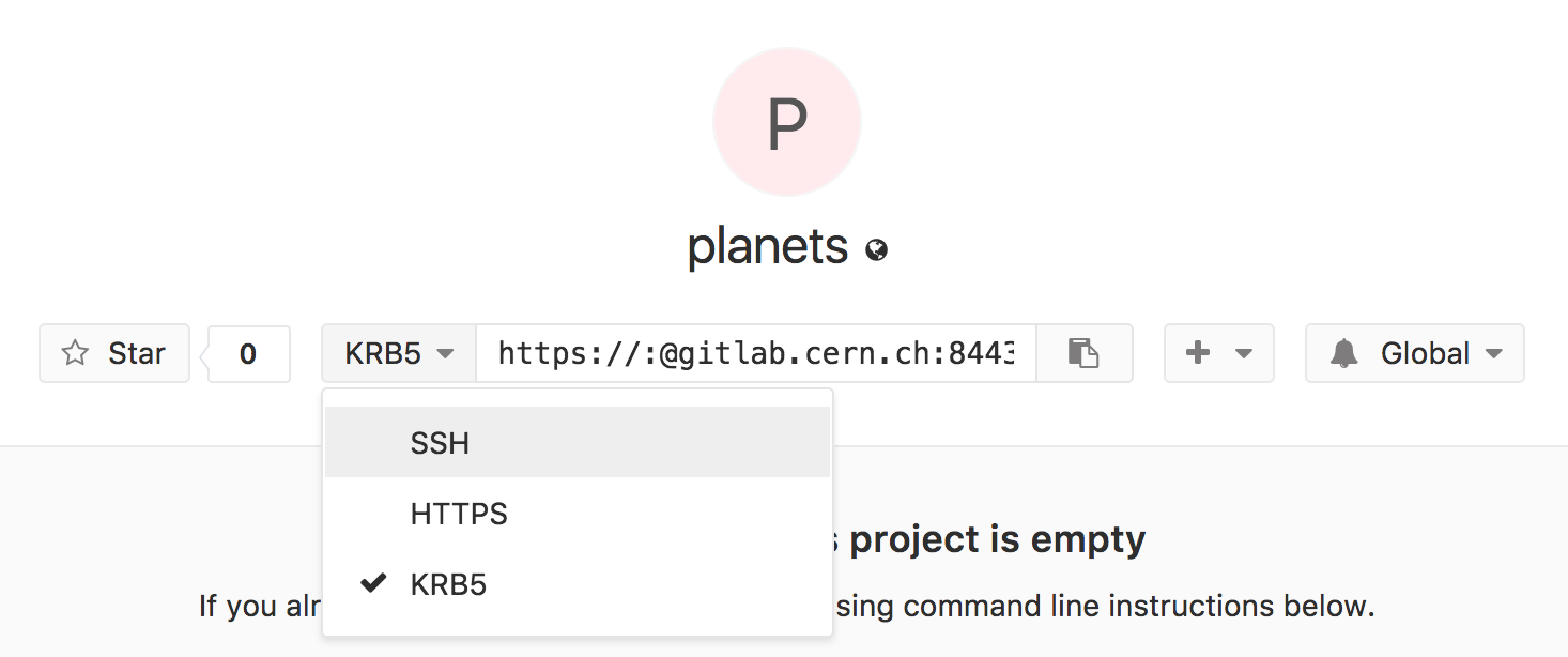 Freshly-Made CERN GitLab Repository