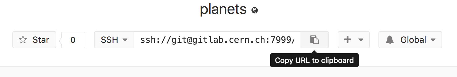 Where to Find Repository URL on CERN GitLab